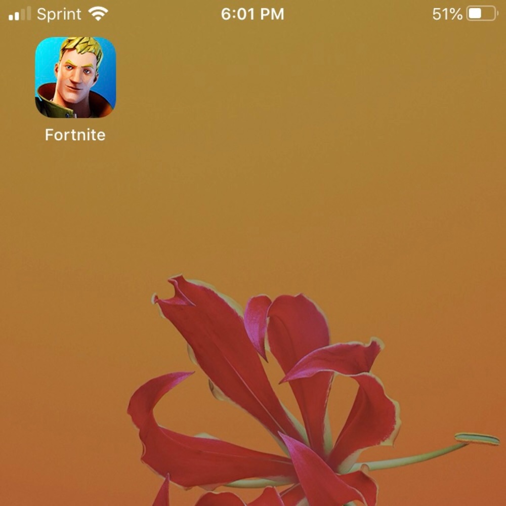 iPhone 7 with fortnite on it